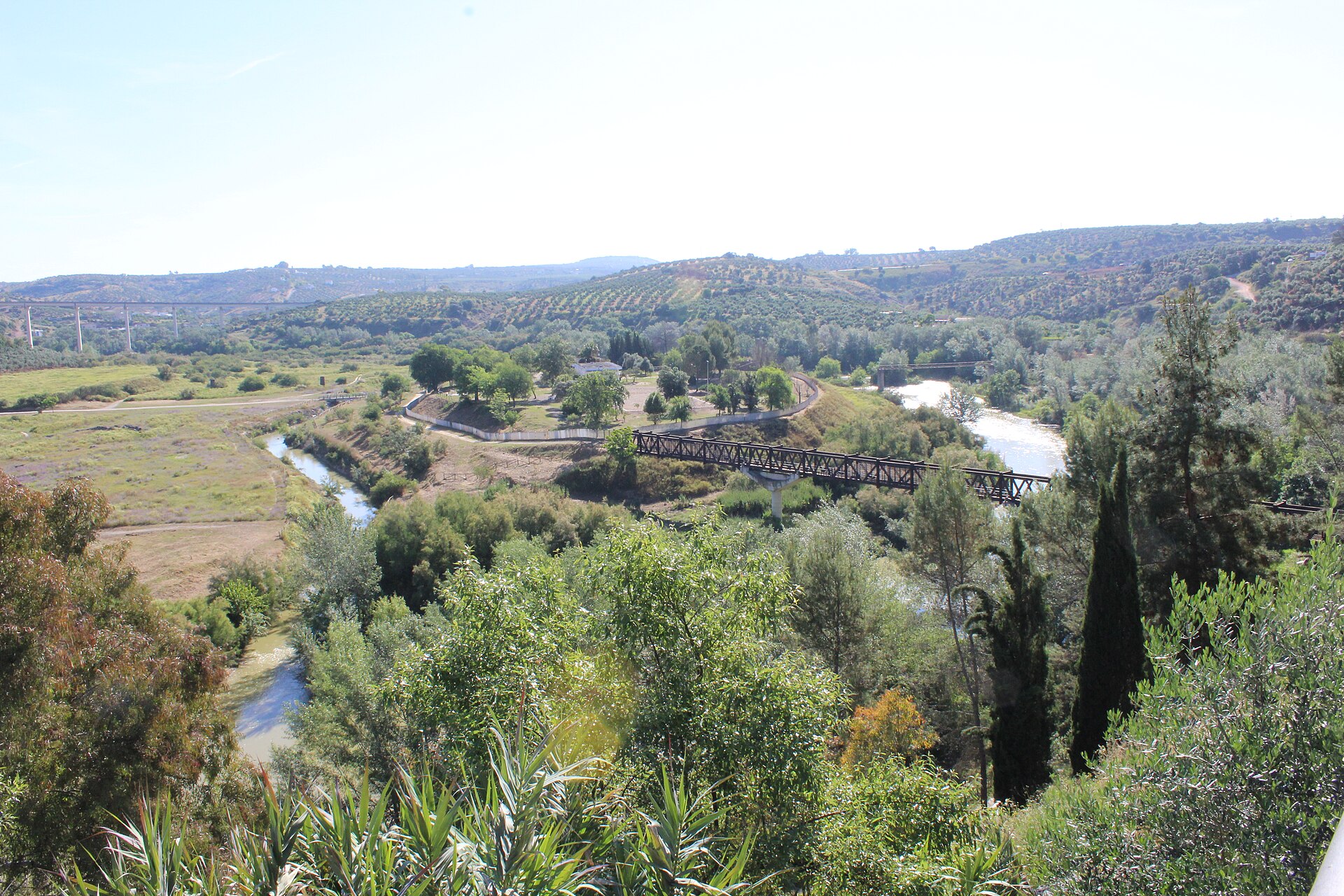 Andalucía paisaje olivar